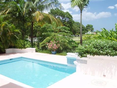 Barbados Luxury,     Side-shot of Swimming Pool and View of Polo Field