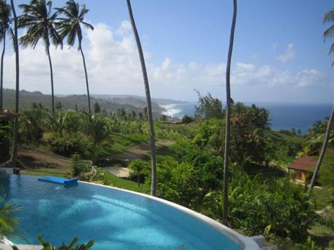 Barbados Luxury,   Full-shot of Swimming Pool and View