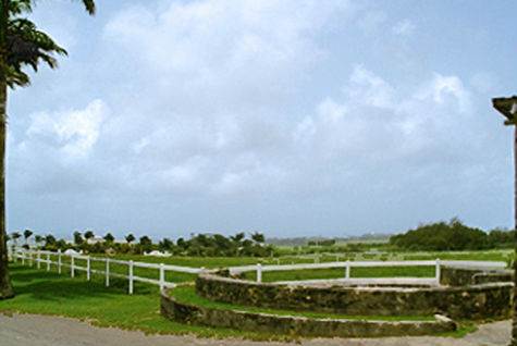Barbados Luxury,  Polo Field
