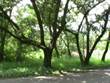 Lots and Land for Sale in Playas Del Coco, Coco Beach, Guanacaste $81,250