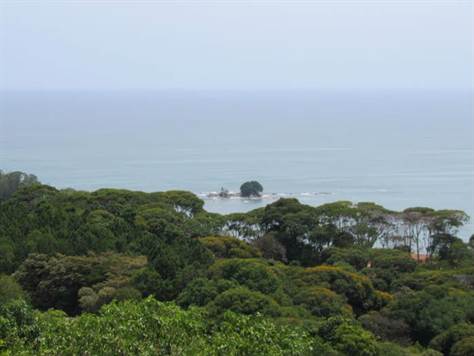 264 ACRES - Amazing Front Ridge Developemnt Property With Ocean Views, Rivers And Waterfalls!!!