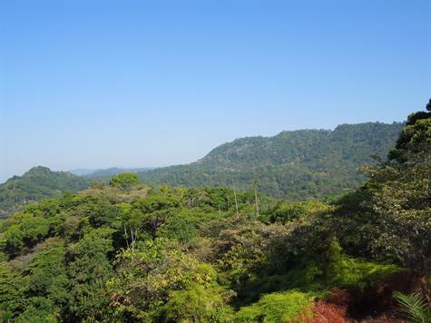 Dominical Development Land
