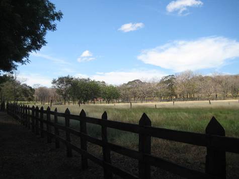 Lots of fenced pasture land