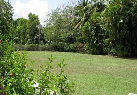 Barbados Luxury, great lawn