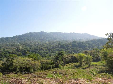 Dominical Development Land