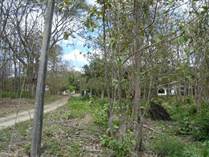 Lots and Land for Sale in Nosara, Guanacaste $150,000