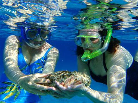 Barbados Luxury, Tourists Snorkeling