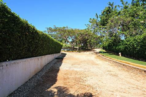 Pathway towards Villa