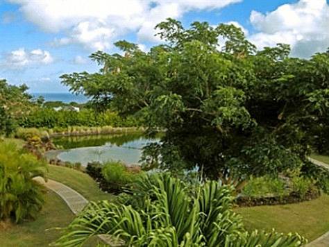 Barbados Luxury, Outdoor Garden Space