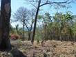 Lots and Land for Sale in Nosara, Guanacaste $189,000