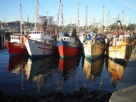 Shrimp Boats in Harbor