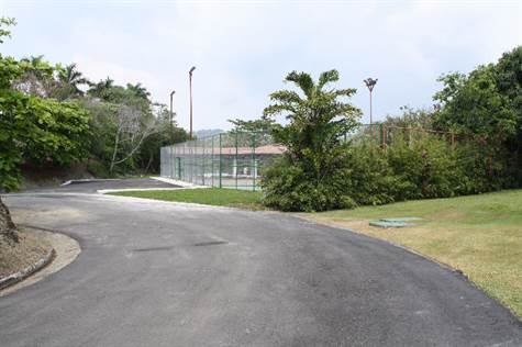 acces road tenis court