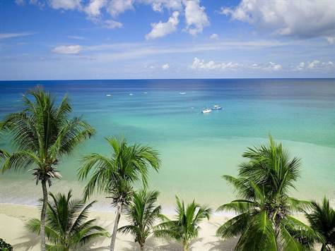 Barbados Luxury,  Shot of Crystal Clear Sea and Lively beach