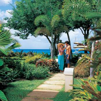 Barbados Luxury,    Shot of Path Leading to Beach
