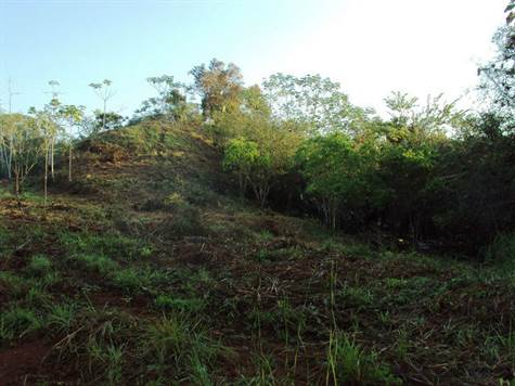 Finca 32 Hects.  (1)