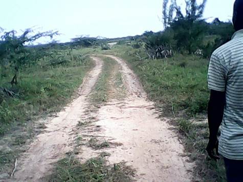 The acces roads for the property for sale in Kenya south Coast
