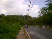 Lots and Land for Sale in Cuesta Hermosa Arroyo Hondo, Santo Domingo $205,000