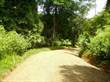 Lots and Land for Sale in Dominical, Puntarenas $59,900