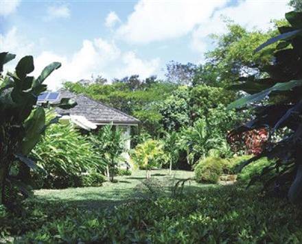 Barbados Luxury, Garden