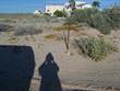 Homes for Sale in Las Conchas, Puerto Penasco/Rocky Point, Sonora $75,000