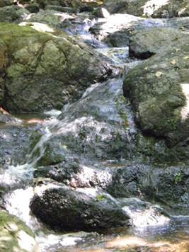 river spring streams