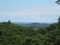 Farms and Acreages for Sale in Playa Avellanas, Guanacaste $210,500