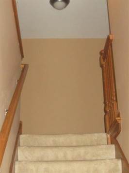 PLUSH NEUTRAL CARPETED STAIRWAY