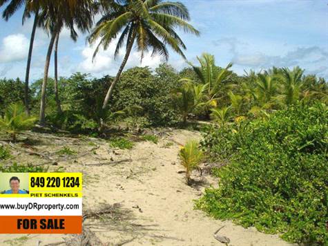 7 Beachfront land, Dominican Republic