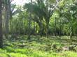 Lots and Land for Sale in Nosara, Guanacaste $59,000