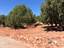 Quail Run Estates in West Sedona-Natural Landscaping