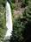 Mill Creek Falls above the Rogue River