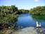 Cenote Manatee