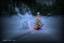 Christmas Spirit at Grouse Creek - Bob Hosea Photographer