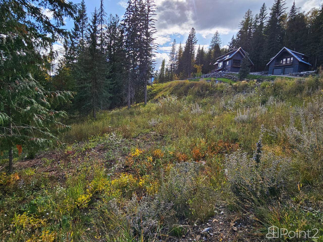 9 Alpine Trail Lane, Fernie, BC V0B1M5 Photo 3