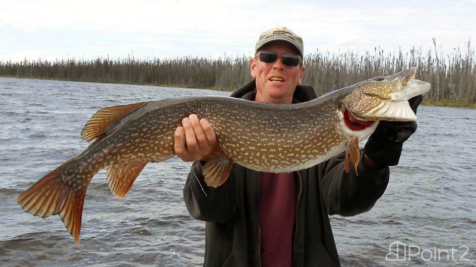 Drive In Lodge Land Owned Trophy Fishing Northern Pike Lake Trout ...