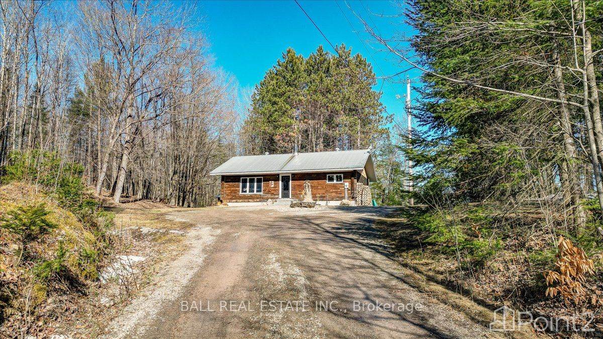 516 The South Rd, Wollaston, ON K0L1P0 Photo 2