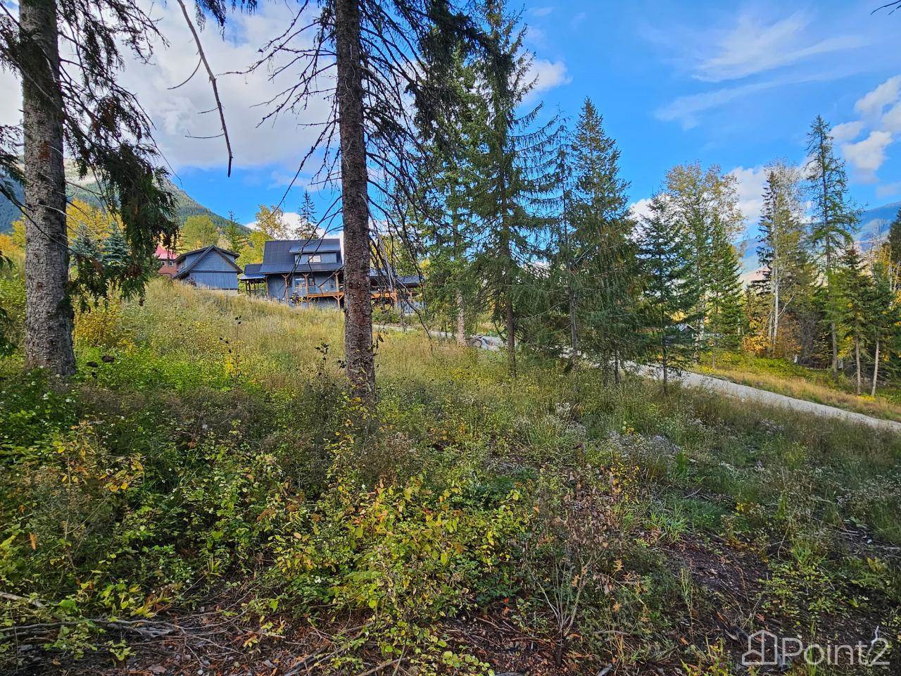 9 Alpine Trail Lane, Fernie, BC V0B1M5 Photo 7