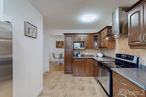 3310 Queen Frederica Dr Mississauga, Toronto, ON L4Y3B2 Photo 7