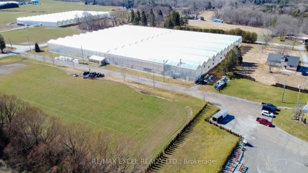 215 Windham Rd 10, Norfolk, ON N0E1H0 Photo 3