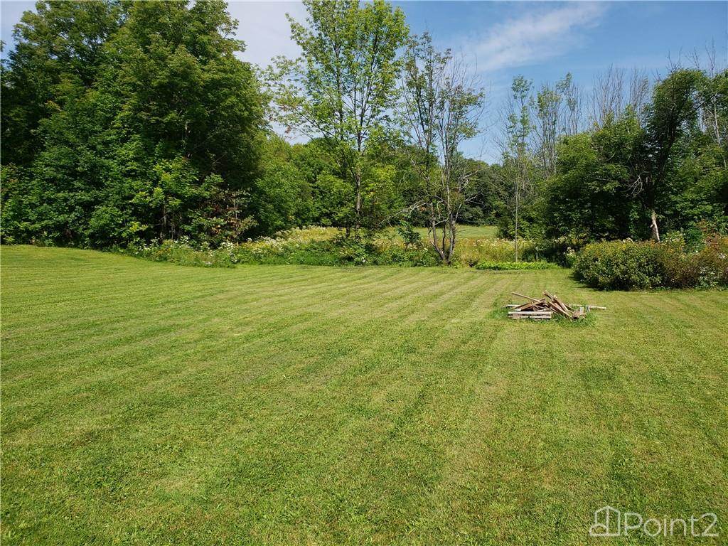 1678 Windermere Road, Utterson, ON P0B1M0 Photo 4